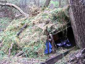Shelter1