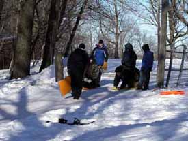 Sled