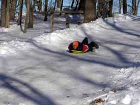 Sled1