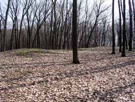 Mound1