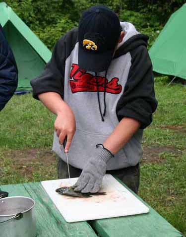 fish4