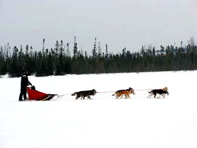 Sled1