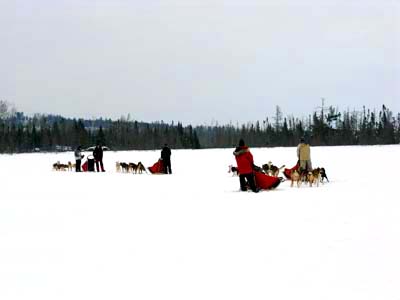 Sled