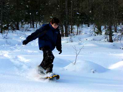 Sled1