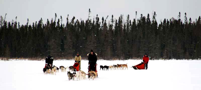 Sled
