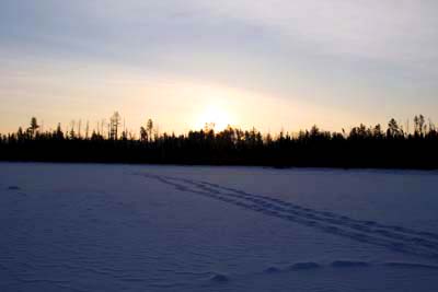 Sled