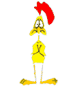 chicken